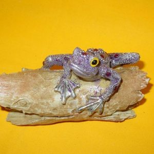 Frosch auf Ast violett