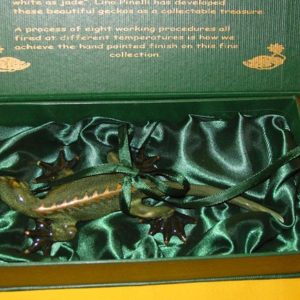 Edler Gecko (gebogener Schwanz) in schner Verpackung