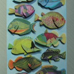 Fische bunt 3D