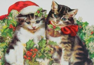 Weihnachtskatzen