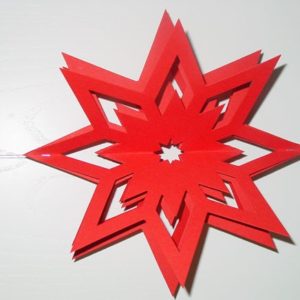 Stern rot, ca 13 cm