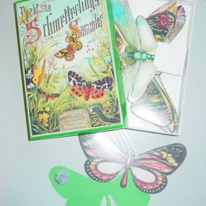 Kleiner Schmetterlingssammler