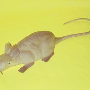 Ratte pinkg fluoreszierend, 22 cm