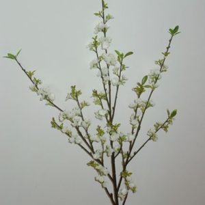 Kirschblütenzweig weiss, ca 85 cm