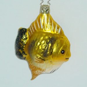 Goldflosse 11,5 cm
