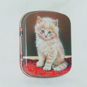 Minidose Katze (5 x 6 cm) hell