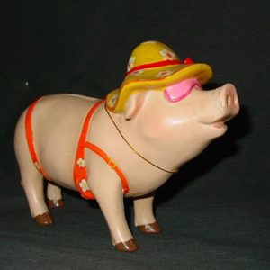 Crazy Pig im Sommerlook (ca 19 x 15 cm)